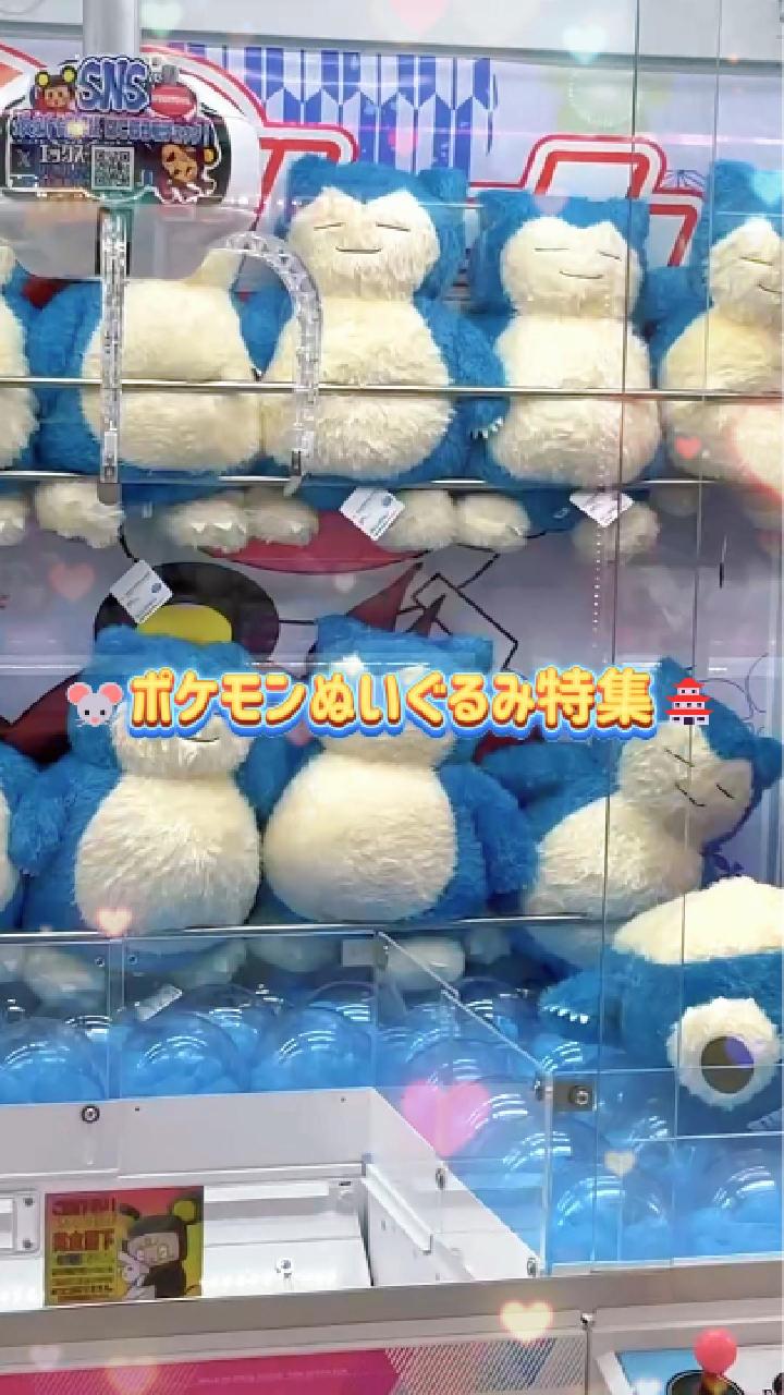 TikTok更新しました！ポケモンぬいぐるみ特集 | iクレーン 会津若松店