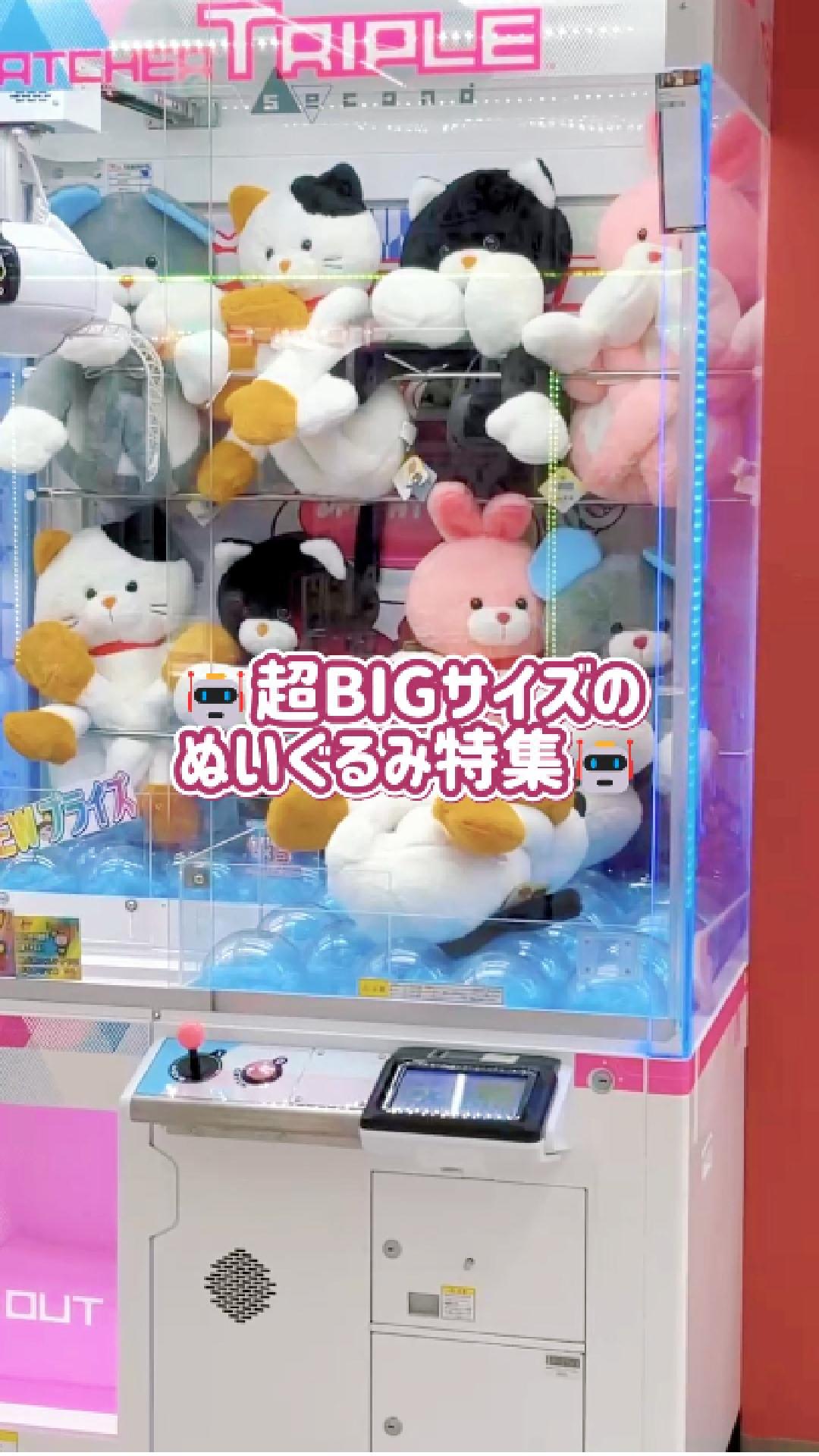 TikTok更新しました！🤖超BIGサイズのぬいぐるみ特集🤖 | iクレーン