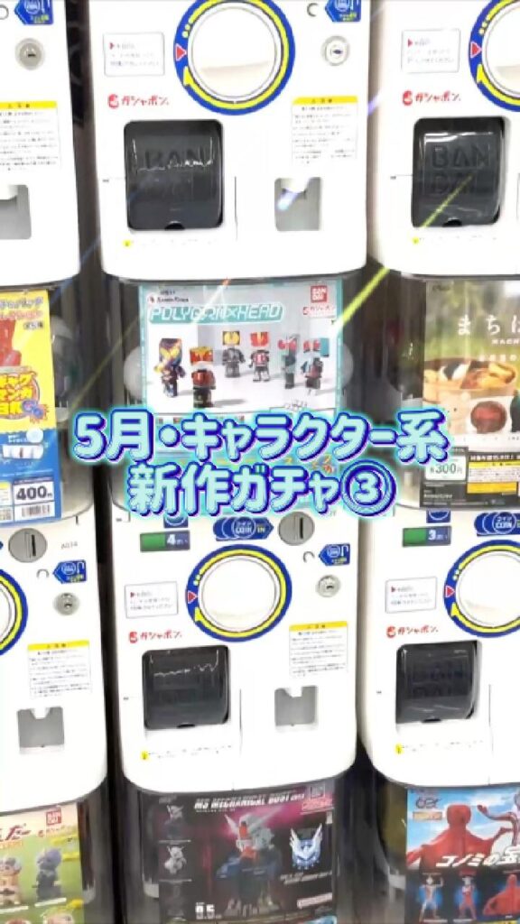 FRP製カボチャ 生花/即納】かぼちゃ ロングアイランドチーズ(茶色) - 花材通販はなど